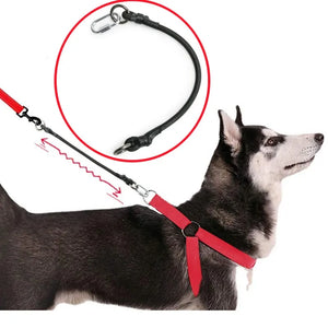 Dog Leash Extend Leashes Rope Elastic Dogs Leash 45cm Extension LeashES